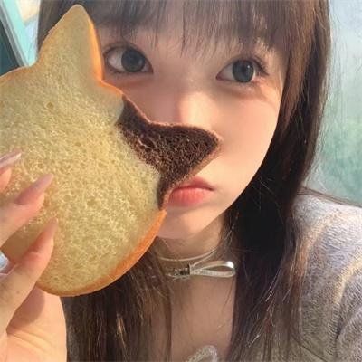 宝琳历险记